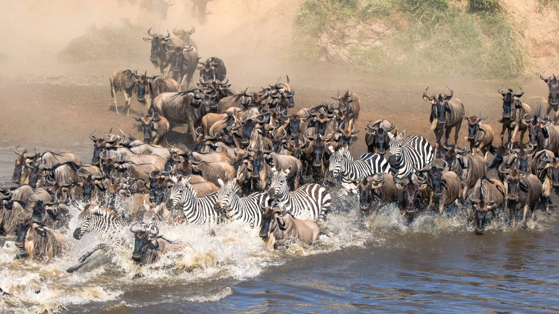 Northern Serengeti migration safari guide