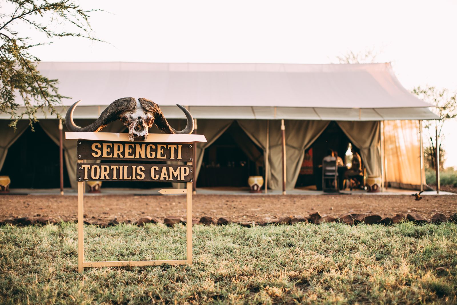 Luxury tented camp in Tanzania safari setting